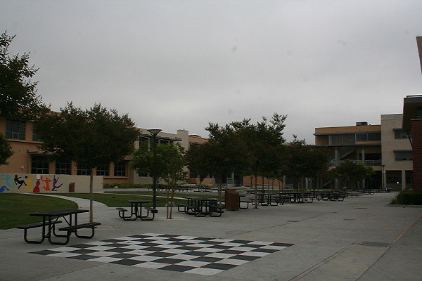 IMG 0190