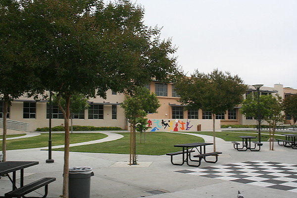 IMG 0191