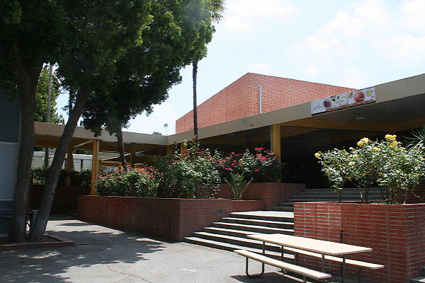 IMG 0299