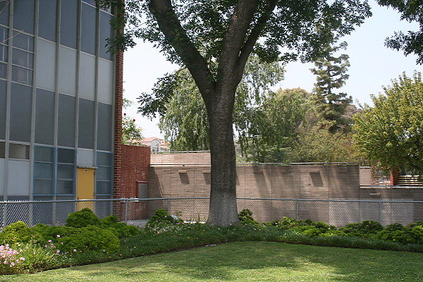 IMG 0326