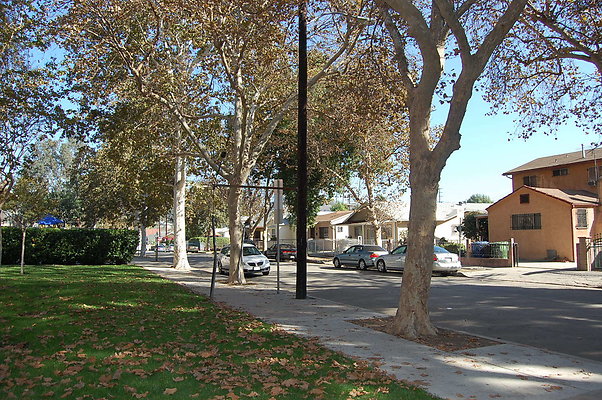 DSC 0005
