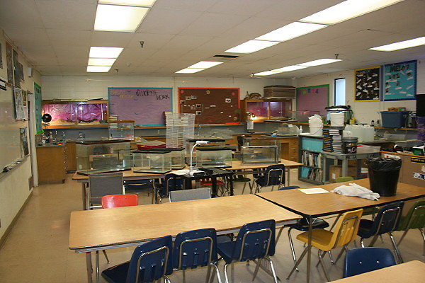 IMG 0200