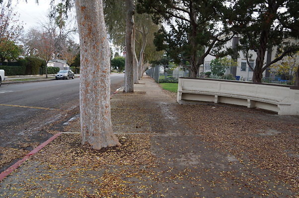 Van.Nuys.HS.Front.13