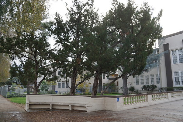 Van.Nuys.HS.Front.07