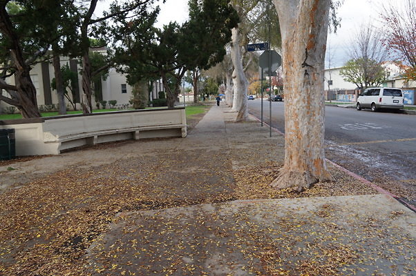 Van.Nuys.HS.Front.14