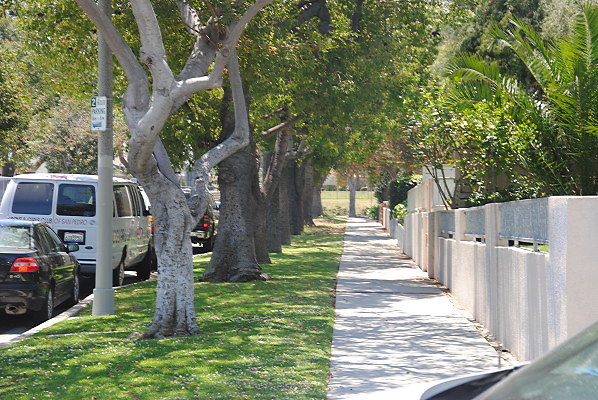 Alma Street Near.San Pedro High School