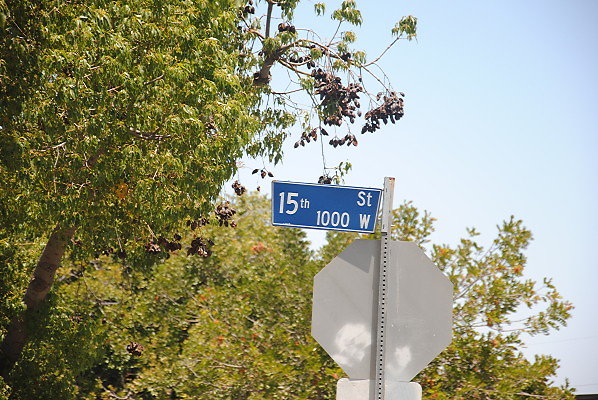 DSC 0211
