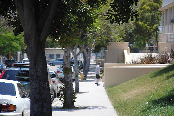 DSC 0209