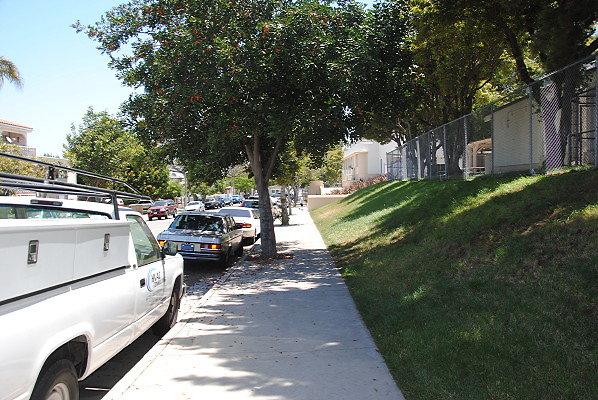 DSC 0207