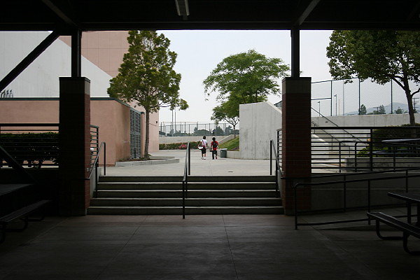 IMG 0263