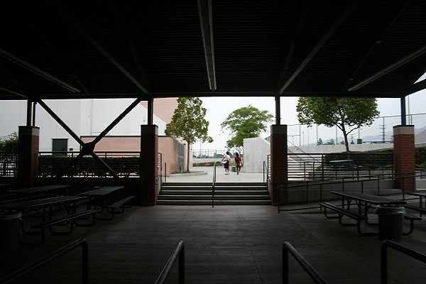 IMG 0262