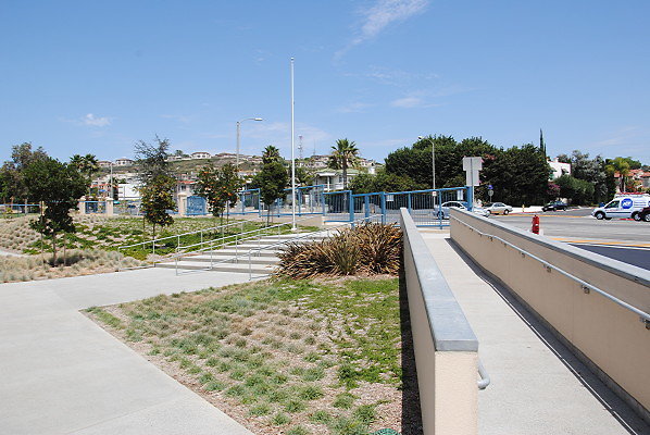 DSC 0218