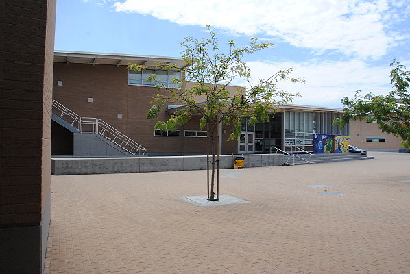 DSC 0060