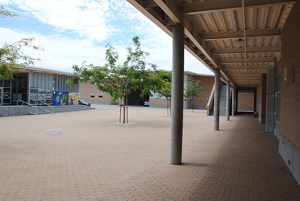 DSC 0061