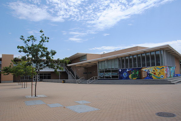 DSC 0078