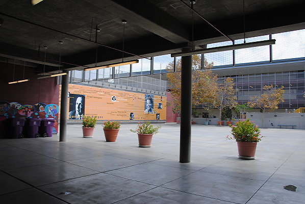 DSC 0330