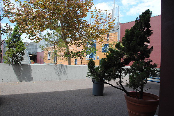 DSC 0305