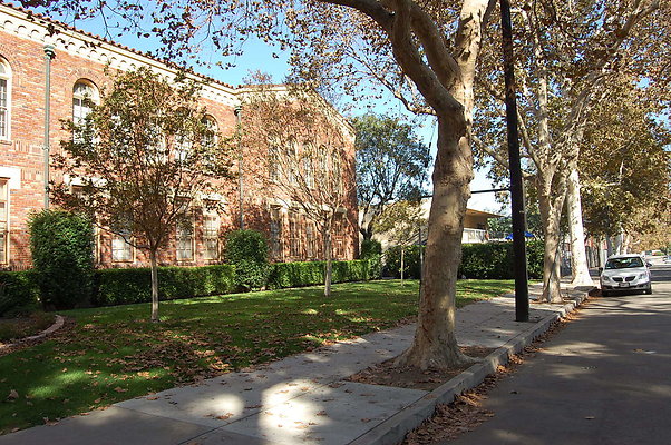 DSC 0004
