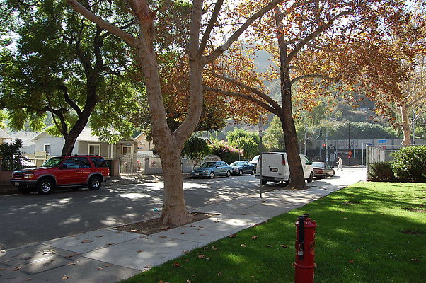 DSC 0007