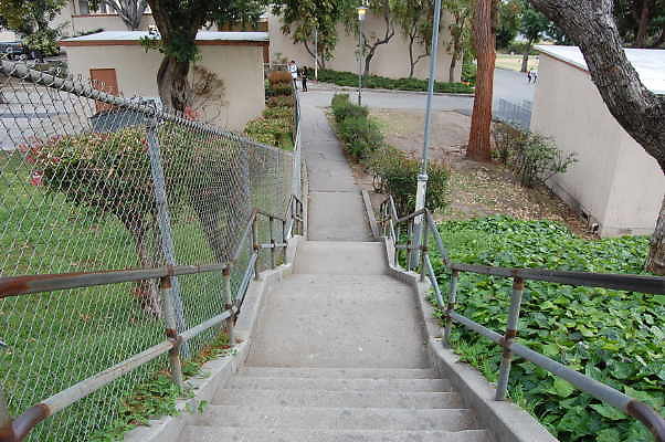 DSC 0066