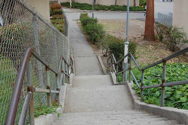 DSC 0150