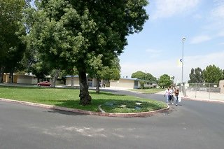 IMG 0238