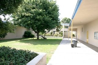 IMG 0089