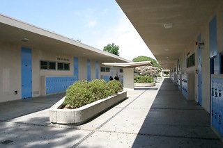 IMG 0080