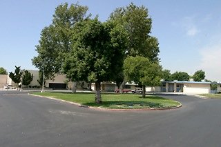 IMG 0073