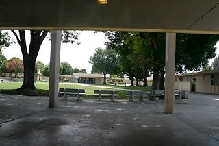 IMG 0121