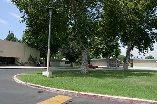 IMG 0237