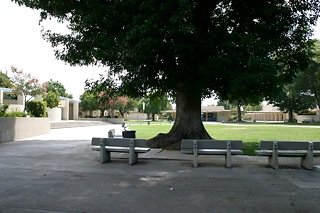 IMG 0119