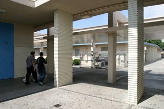IMG 0082