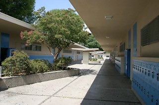 IMG 0098