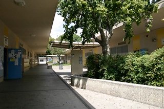 IMG 0118