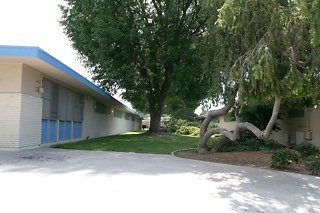 IMG 0113