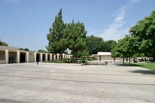 IMG 0165
