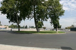IMG 0235