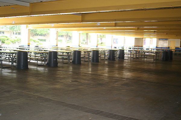 IMG 0119