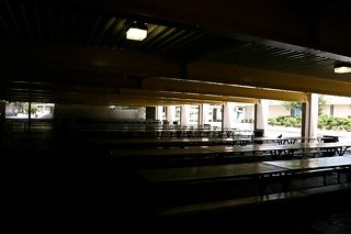 IMG 0135