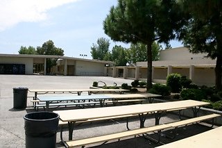IMG 0139