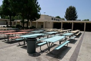 IMG 0142