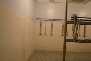 IMG 0188