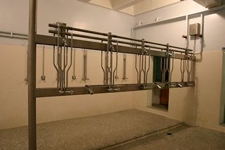 IMG 0187