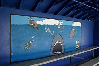 IMG 0202