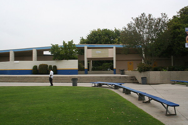 IMG 0100