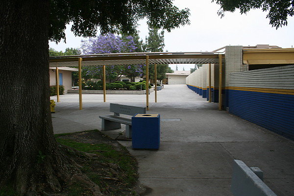 IMG 0110