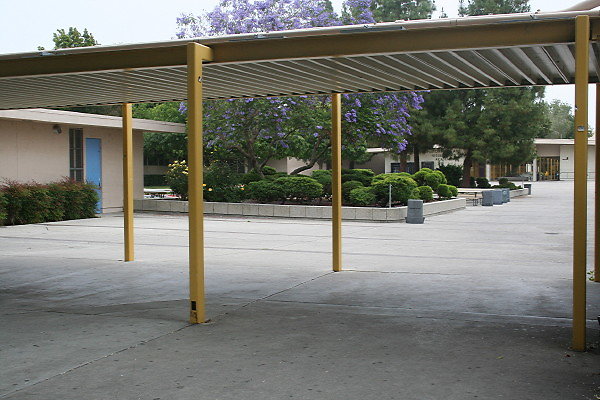 IMG 0111
