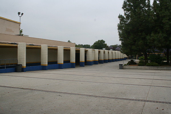 IMG 0135