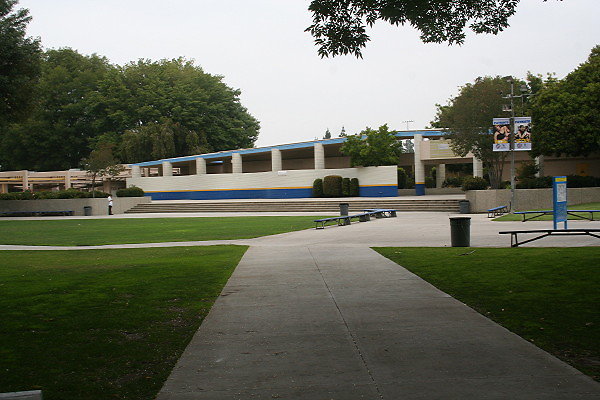 IMG 0113
